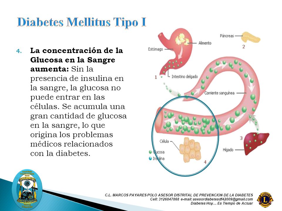 concentración de glucosa en sangre diabetes mellitus concentración de glucosa en sangre diabetes mellitus